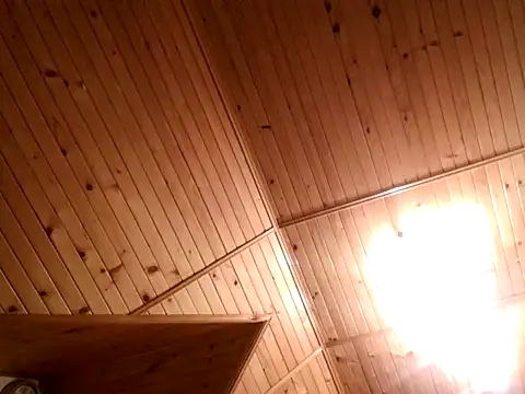 Snapshot of tibci12789 chatting on December 2025 07:54:02 PM tibci12789 online show from December 2025 07:54:02 PM