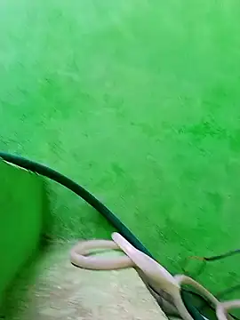 Snapshot of Karishma_cute chatting on November 2025 04:48:02 AM Karishma cute online show from November 2025 04:48:02 AM