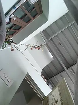 Vickyins480000 online show from December 2025 03:25:02 AM