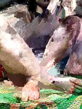 -Kem-01 online show from December 2025 01:09:02 PM