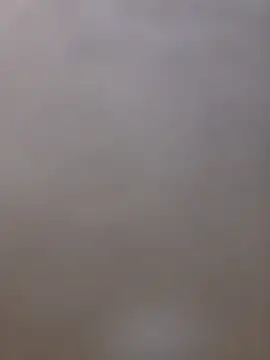 shainnfk online show from March 2026 12:06:01 AM