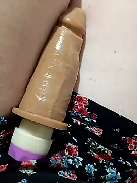 Taradinha pelosogro online show from October 2025 12:01:02 PM