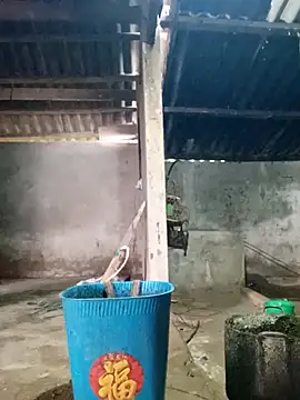 Myzak- online show from March 2026 12:01:01 AM