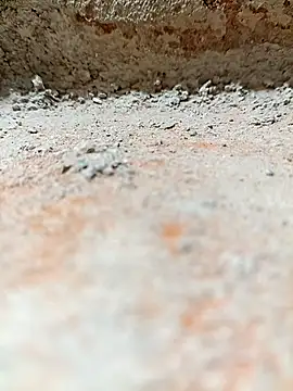 Rajni chauhan online show from November 2025 08:11:02 PM