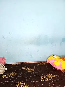 Deepa telugu online show from April 2026 09:48:02 AM