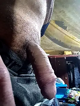 Cogelonregio online show from December 2025 04:00:02 AM