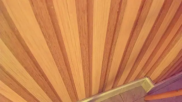 mia  blaze   online show from January 2026 03:00:01 AM