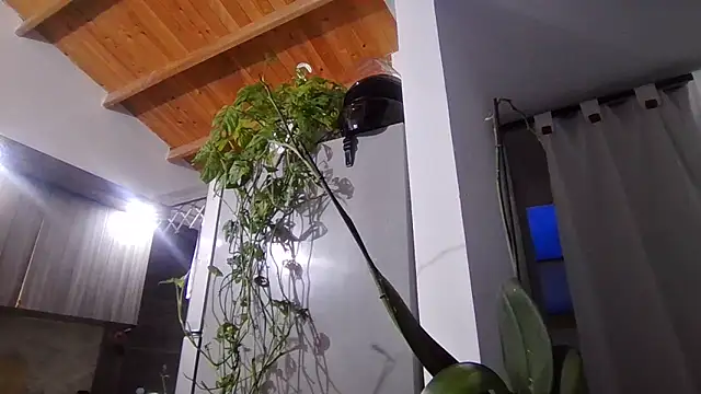 Snapshot of valeriahornier chatting on June 2026 11:32:02 PM valeriahornier online show from June 2026 11:32:02 PM