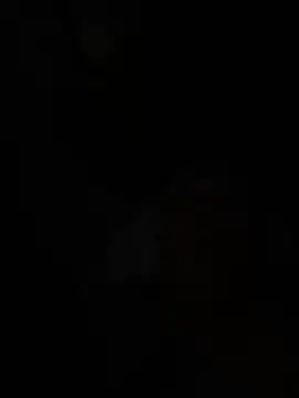 wellingtonmds online show from February 2026 01:26:01 PM