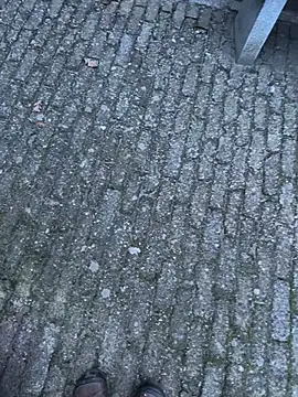 bart98geil online show from February 2026 06:54:01 AM