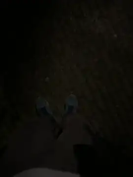 bart98geil online show from February 2026 10:41:02 PM