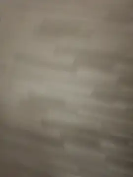 gatitalocahot online show from March 2026 08:23:02 PM