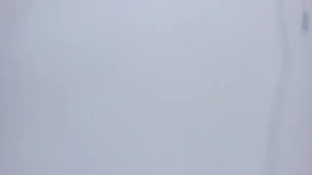 mirandaduboiss online show from April 2026 05:07:02 PM