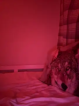 Janekat online show from February 2026 03:33:01 AM