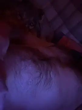 Janekat online show from February 2026 03:13:01 AM