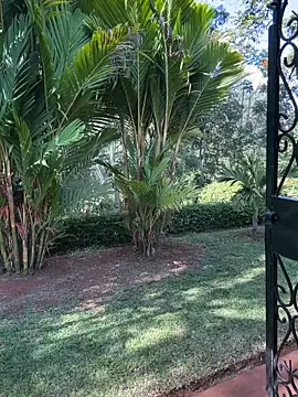 BubblesLovexox online show from April 2026 12:57:02 PM