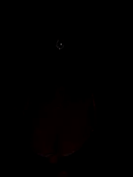 Mampykolkata online show from November 2025 05:42:01 PM