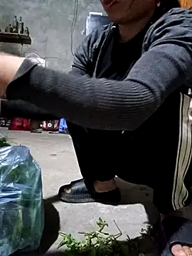 Phoena-a online show from April 2026 11:24:01 AM