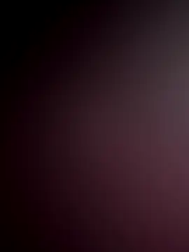 WildNour online show from November 2025 06:51:02 AM