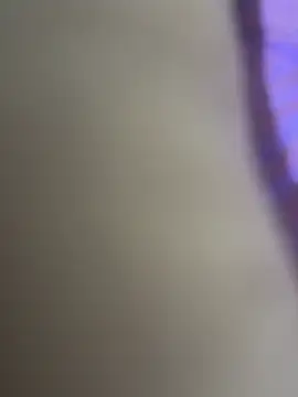 WildNour online show from April 2026 12:13:02 AM