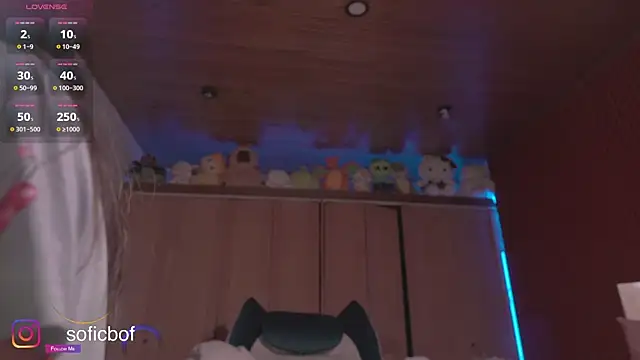 sofi sc online show from November 2025 02:26:01 PM