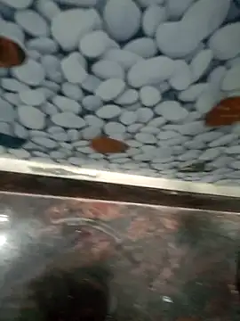 Pandey0012 online show from March 2026 11:49:02 AM