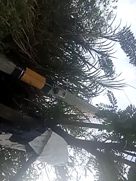 Camila-Valverde online show from January 2026 08:51:02 PM