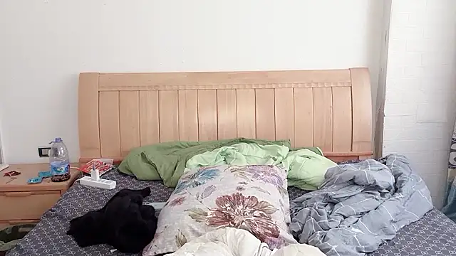 N228 online show from December 2025 06:55:02 AM