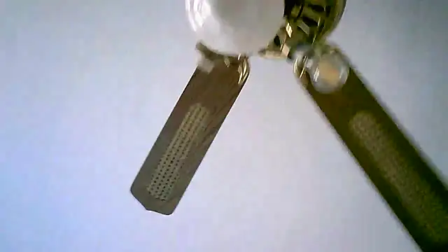 Snapshot of Sylviastar46 chatting on November 2025 02:50:01 PM Sylviastar46 online show from November 2025 02:50:01 PM