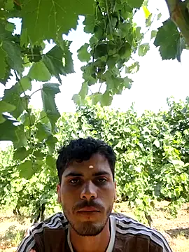 ZAminn6789 online show from August 2026 11:48:02 AM