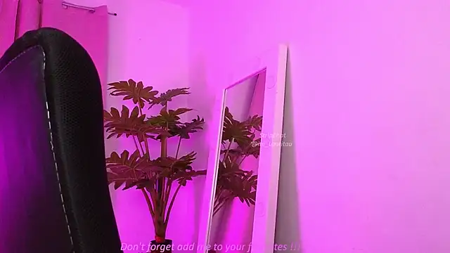 BabyLauritaa online show from March 2026 11:08:01 PM