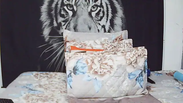 MassiveBoobsxxxx online show from February 2026 07:09:02 PM