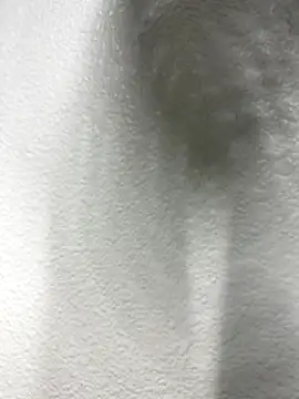 Snapshot of recx_lamdron28 chatting on October 2025 08:21:02 PM recx lamdron28 online show from October 2025 08:21:02 PM