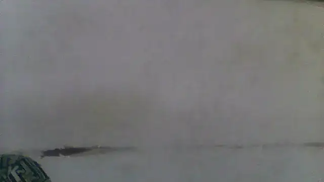 Snapshot of Ndodemnyama@xh chatting on March 2026 08:04:02 PM Ndodemnyamaxh online show from March 2026 08:04:02 PM