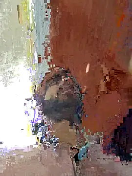 loveart007 online show from November 2025 07:41:02 AM