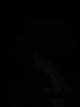 Manfredini607452 online show from February 2026 01:11:01 AM