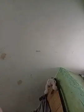 Snapshot of Misiek11123 chatting on November 2025 02:08:01 PM Misiek11123 online show from November 2025 02:08:01 PM