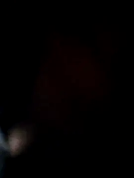 ANIMAA09 online show from November 2025 05:16:01 PM