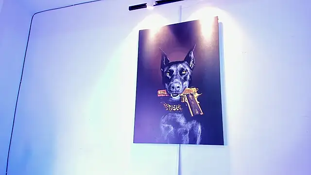 stiven 24cm online show from November 2025 07:11:02 AM