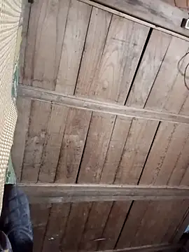 Bee-bgolden online show from November 2025 02:30:01 PM