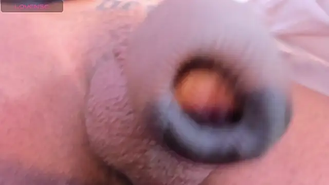 camii raux online show from March 2026 09:31:02 PM