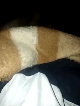 Azo3zgju online show from November 2025 02:33:02 AM