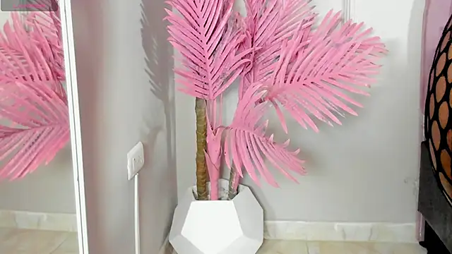 Tamaramilleer online show from February 2026 03:49:02 AM