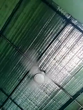 Keya-009 online show from April 2026 04:37:01 AM