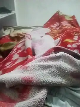 hyderabad single online show from November 2025 03:50:01 AM