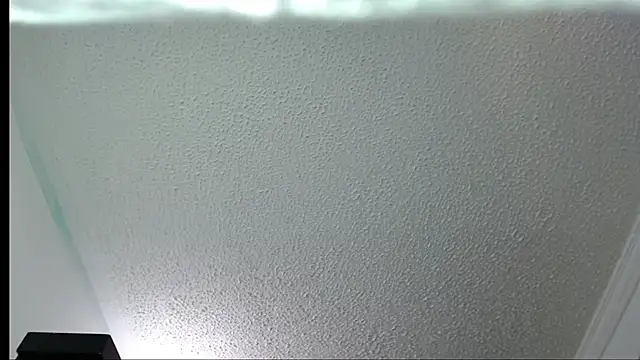 Snapshot of Little-rouse chatting on November 2025 02:32:02 PM Little-rouse online show from November 2025 02:32:02 PM