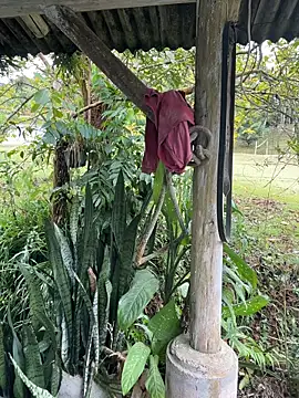 Monahliza online show from April 2026 04:52:01 PM