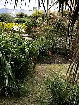 LilyMature x online show from November 2025 09:06:02 PM