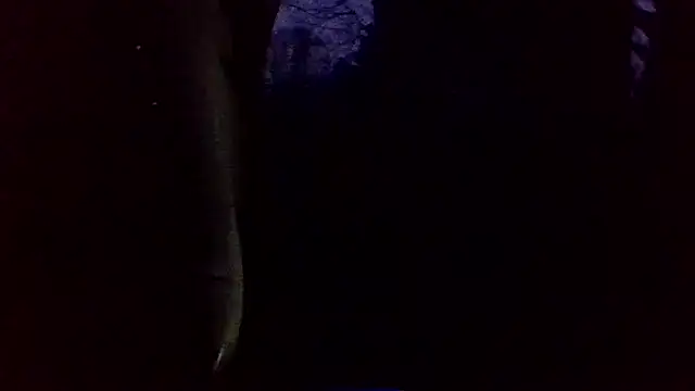 Snapshot of dickencidr chatting on March 2026 12:14:02 AM dickencidr online show from March 2026 12:14:02 AM