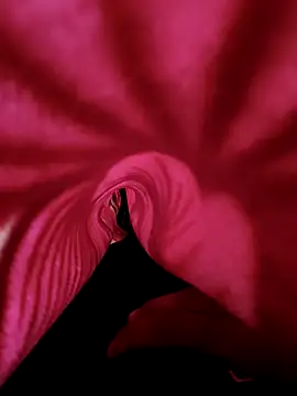 Snapshot of DesiAnita3693 chatting on November 2025 03:38:01 AM DesiAnita3693 online show from November 2025 03:38:01 AM